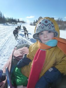 Dogsledding tours and outdoor adventures in the Yukon Territory - Nola