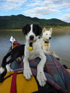 Into the Wild Adventures, dog sledding tours and outdoor adventures in the Yukon Territory - About us - Speed and Oumiack